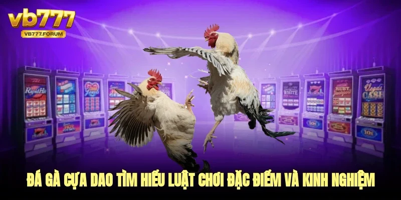 đá gà cựa dao vb777