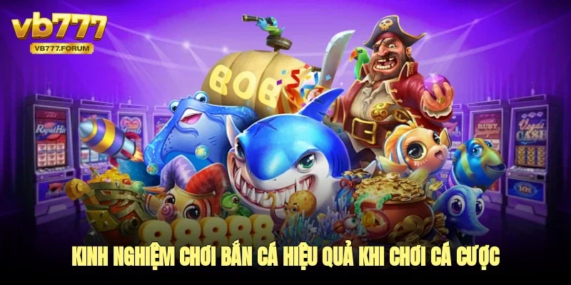 Kinh nghiệm chơi bắn cá hiệu quả khi chơi cá cược 