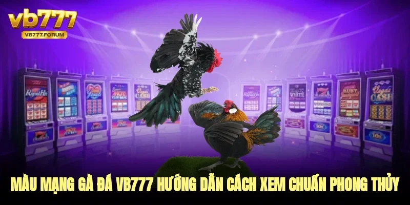 màu mạng gà đá