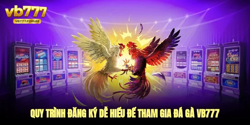 Quy trình đăng ký dễ hiểu để tham gia đá gà vb777